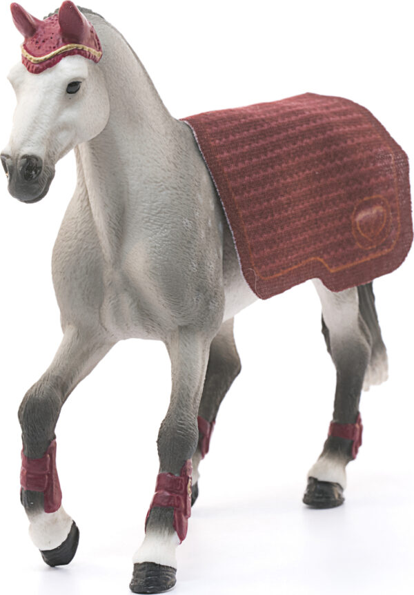 Trakehner Mare Riding Tournament