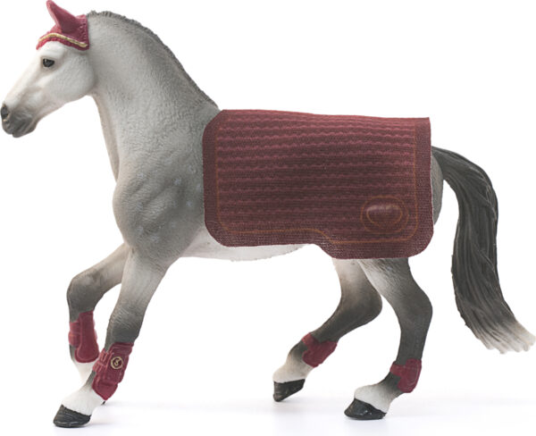 Trakehner Mare Riding Tournament