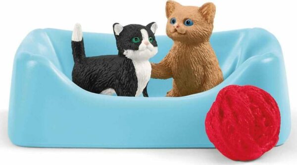 Playtime for Cute Cats