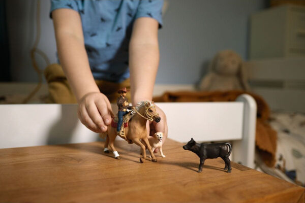 schleich Western Riding Adventures