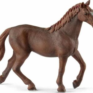 English Thoroughbred Mare