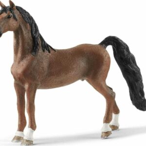 American Saddlebred Gelding