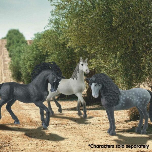 Pura Raza Española Stallion