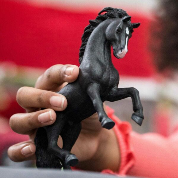 Pura Raza Española Stallion