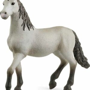 Pura Raza Española Young Horse