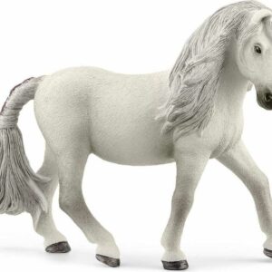 Icelandic Pony Mare