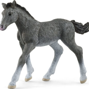 schleich Horse Club Trakehner Foal
