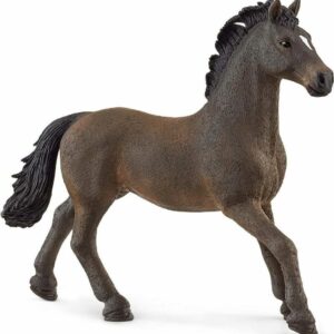 Oldenburger Stallion