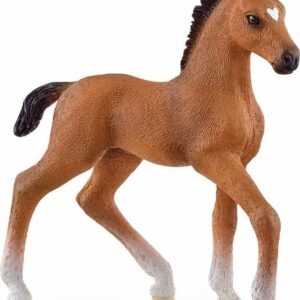 Oldenburger Foal