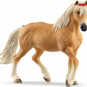 Haflinger Mare