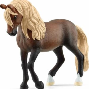 Peruvian Paso Stallion