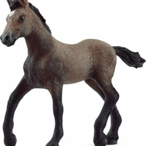 Peruvian Paso Foal
