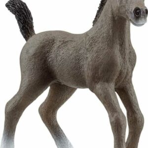 Selle Français Foal