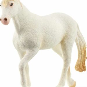 Camarillo Mare