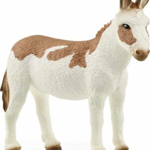 American Spotted Donkey