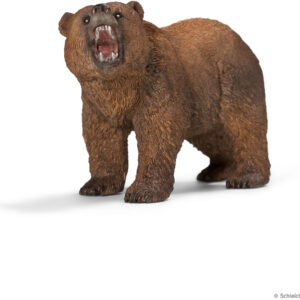 Grizzly Bear