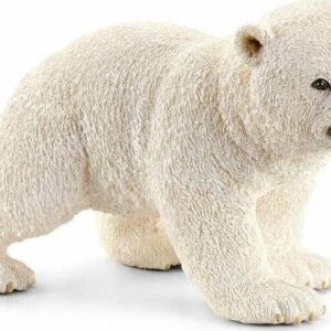 Polar Bear Cub, Walking
