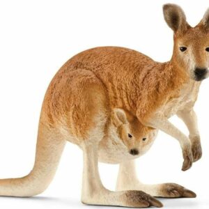 Kangaroo