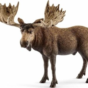 Moose Bull