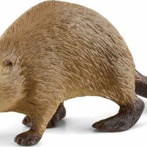 Beaver