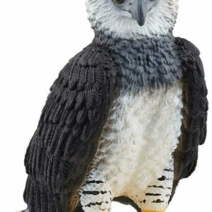 Harpy Eagle