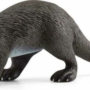 Otter