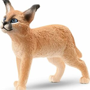 Caracal Baby