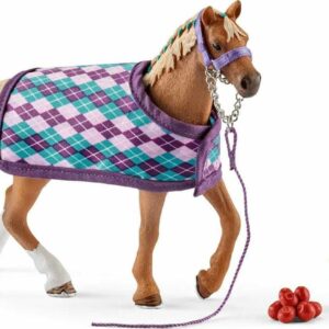 English Thoroughbred with Blanket
