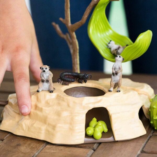 Meerkat Hangout