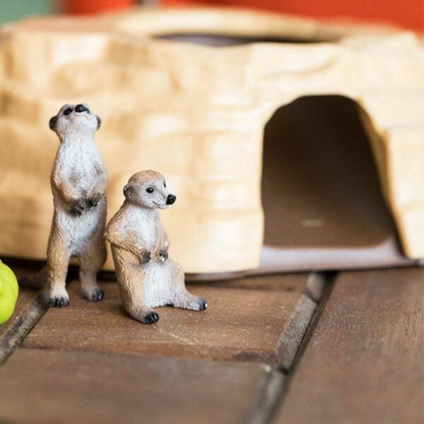 Meerkat Hangout