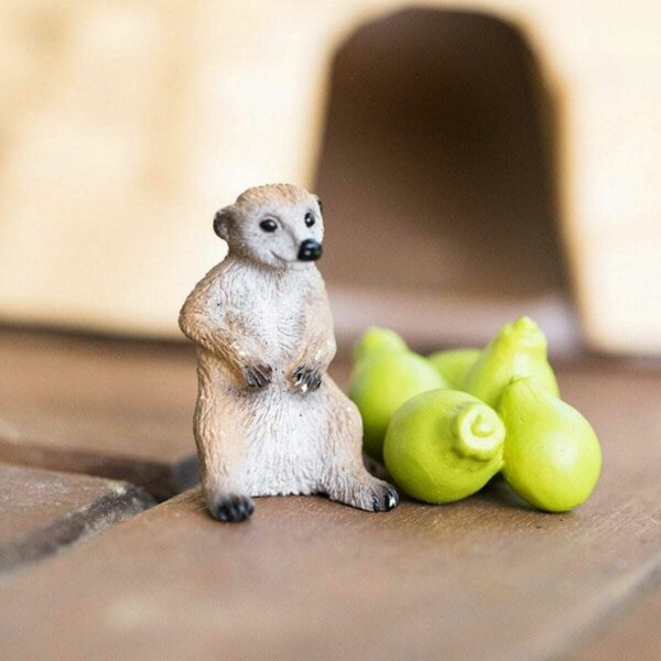 Meerkat Hangout