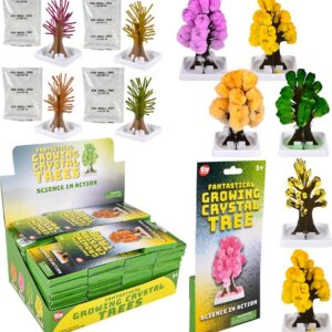 Growing Tree 5"
