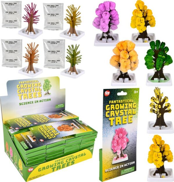 Growing Tree 5"
