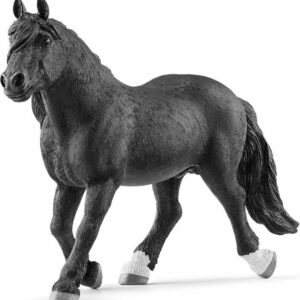 Noriker Stallion