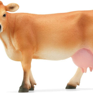 Jersey Cow