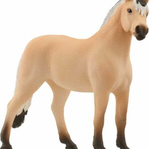 Norwegian Fjord Horse Gelding