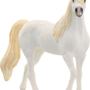 Horse Club Arabian Mare