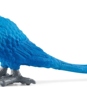 Hyacinth Macaw