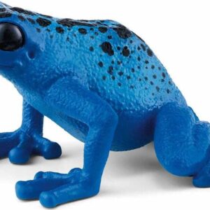 Blue Poison Dart Frog