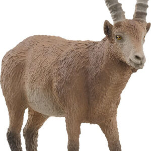 WILD LIFE Ibex