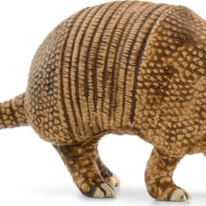 Armadillo