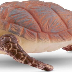 Hawskbill Sea Turtle