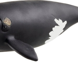 schleich WILD LIFE North Atlantic Right Whale