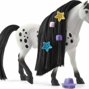 Beauty Horse Knabstrupper Stallion