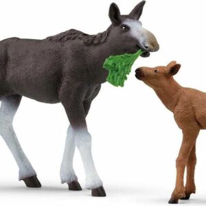 Moose Calf