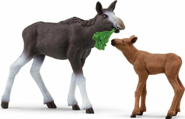 Moose Calf