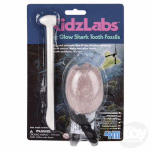 4m dig glow shark tooth fossils