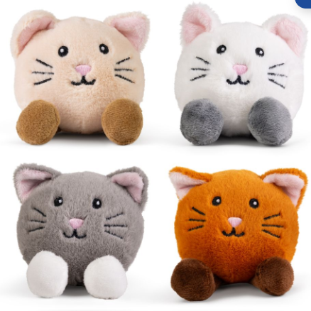 kc little paws kittens