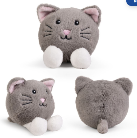 kc little paws kittens