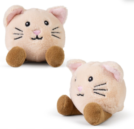 kc little paws kittens